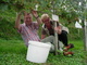 Weinlesefest 2009