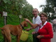 Weinlesefest 2009