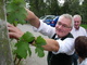 Weinlesefest 2009