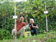 Weinlesefest 2009