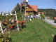 Weinlese