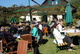 2010 Weinlese Patenschaftsweingarten