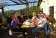 2010 Weinlese Patenschaftsweingarten