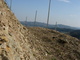 Terroir im Sausaler Weingarten