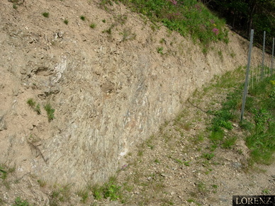 Terroir im Sausaler Weingarten