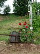 Schauweingarten Lorenz