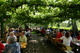 Unter der Laube beim Lorenz