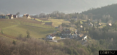 Weingut Lorenz
