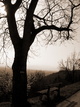 Im Weinland