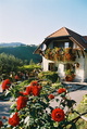 Buschenschank