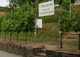 Schauweingarten