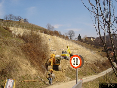 Weingartenerstellung Steinriegel