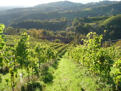 Region