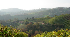 Ausblick
