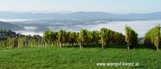 www.weingut-lorenz.at